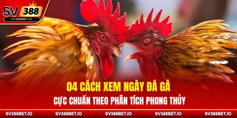 04 Cách Xem Ngày Đá Gà Cực Chuẩn Theo Phân Tích Phong Thủy