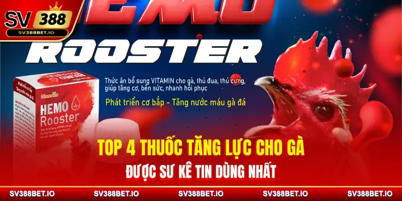 Top 4 Thuốc Tăng Lực Cho Gà Được Sư Kê Tin Dùng Nhất