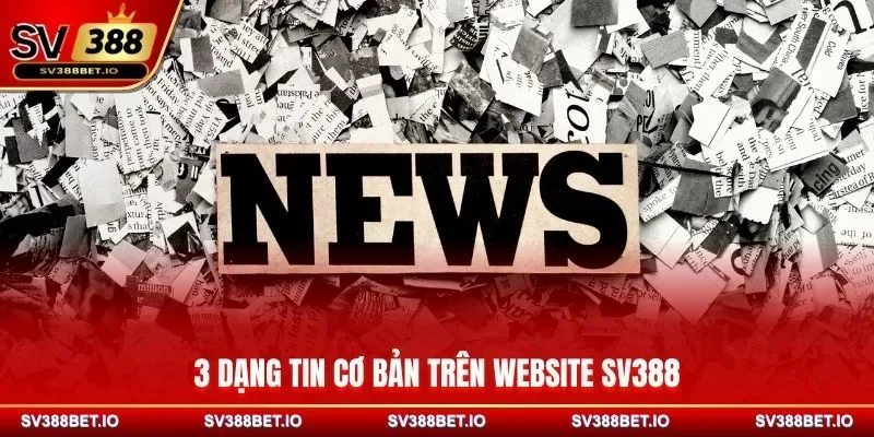 3 dạng tin cơ bản trên website SV388