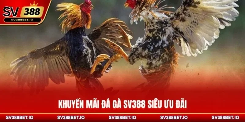 Khuyến mãi đá gà SV388 siêu ưu đãi
